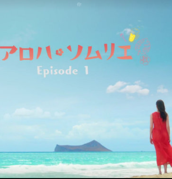 Aloha·品酒师第1集